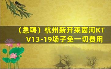 白山夜总会招聘